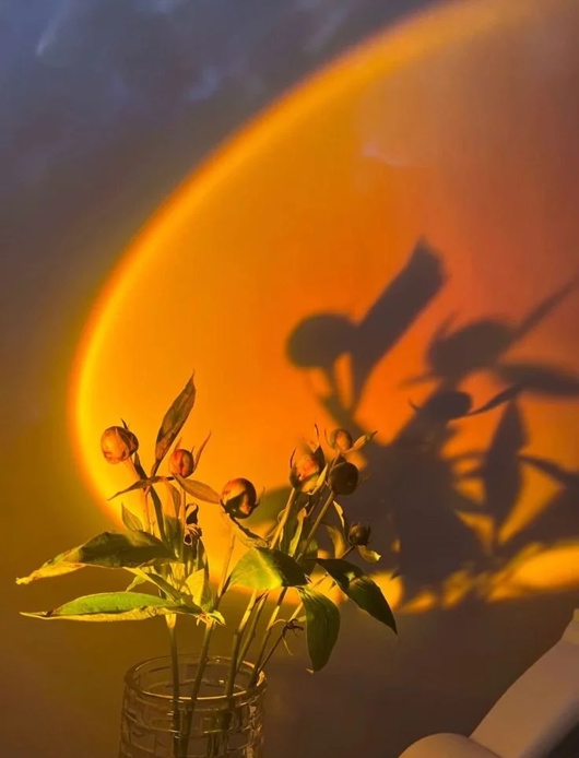 The Spring Seasonal Reset